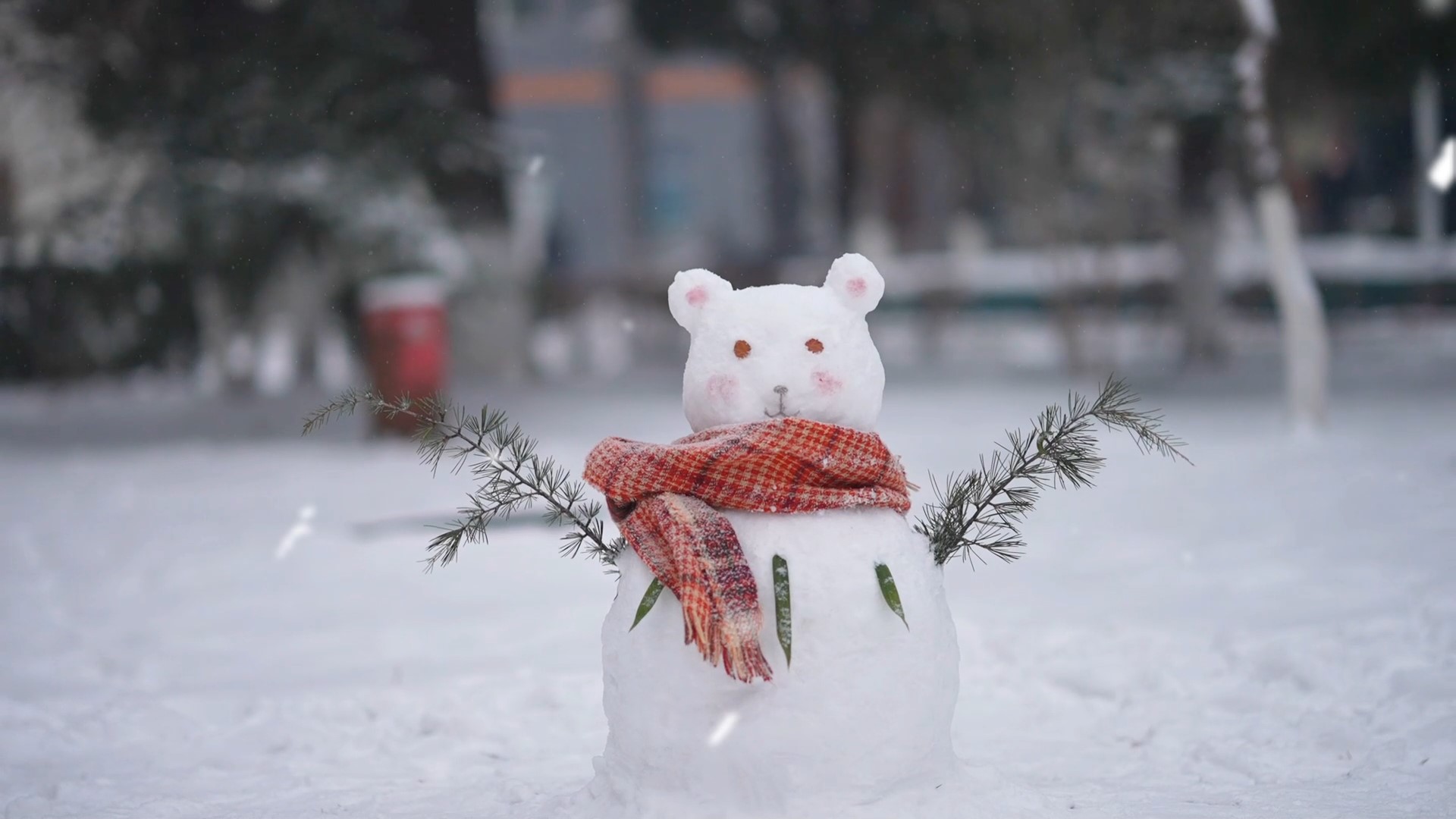 雪舞翩跹，洒满北科院，一同漫步雪中，共赏冬日雪景#校园雪景 #我期待的不是雪还是有你的冬天 #北京下雪